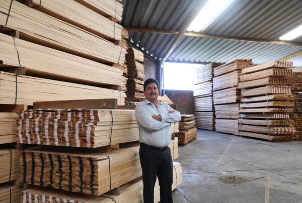 negocio de madera